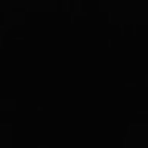 Meet your Posher, Bridgette